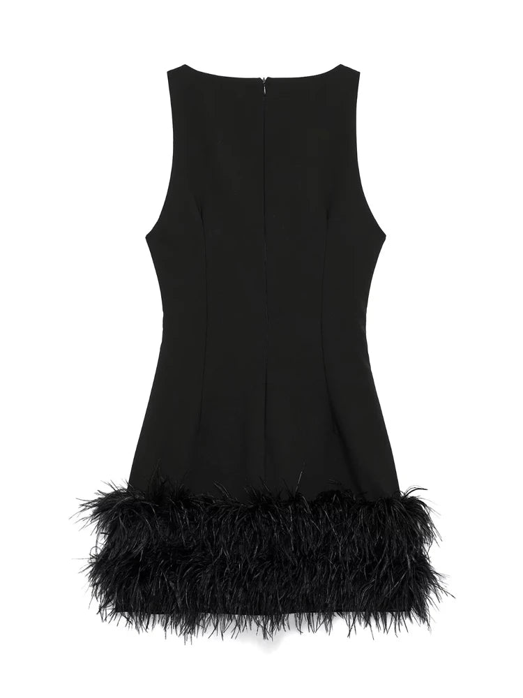 Black Swan Dress
