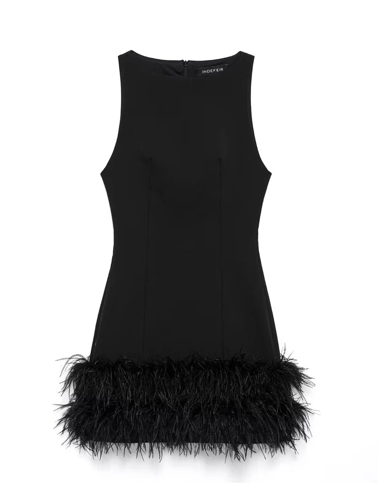 Black Swan Dress
