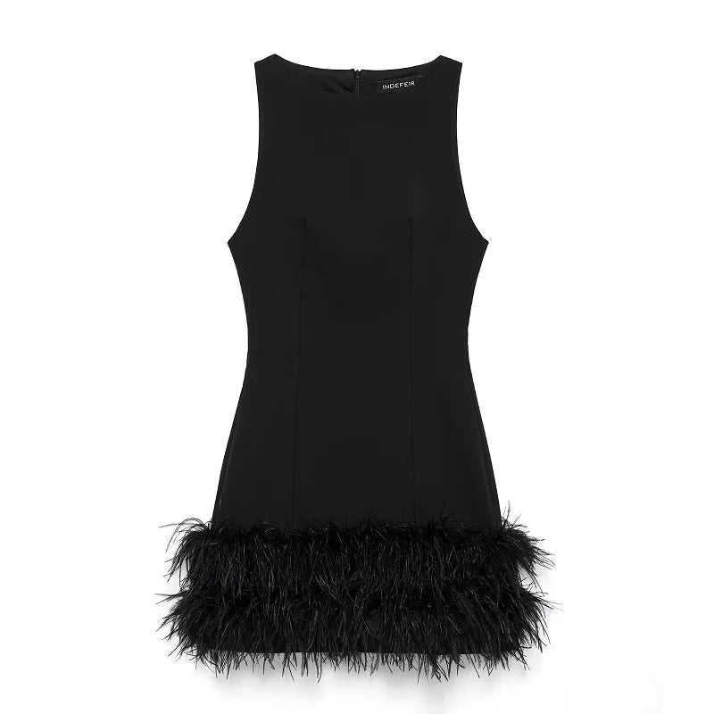 Black Swan Dress