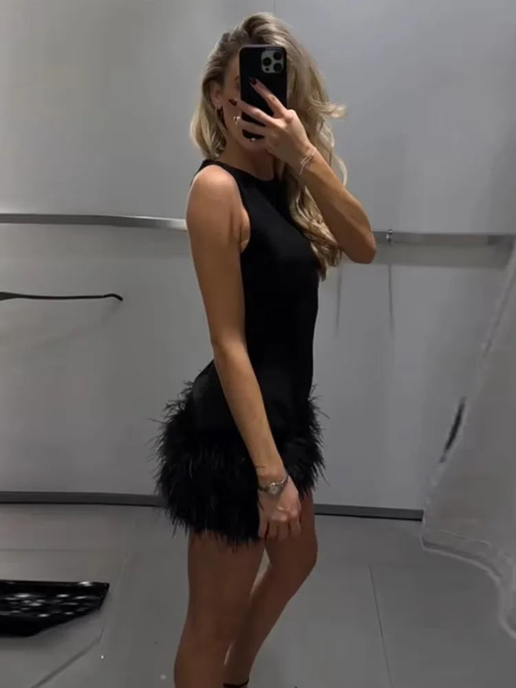 Black Swan Dress