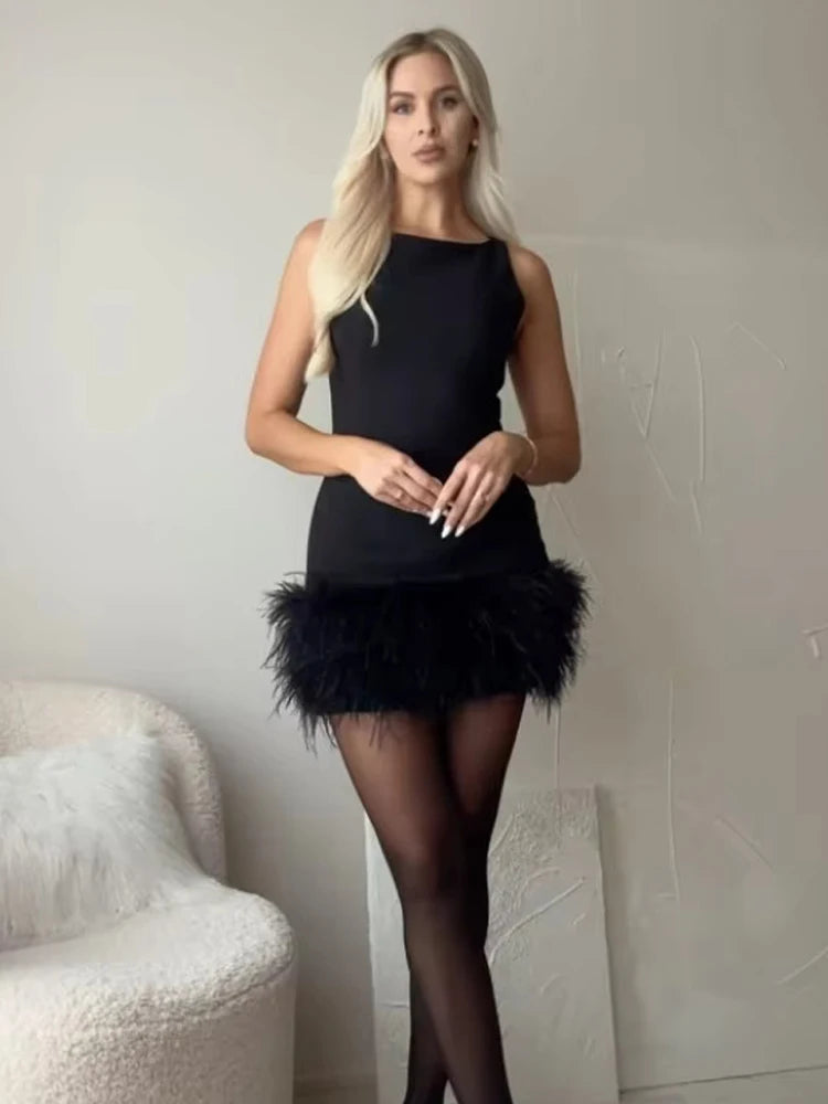 Black Swan Dress