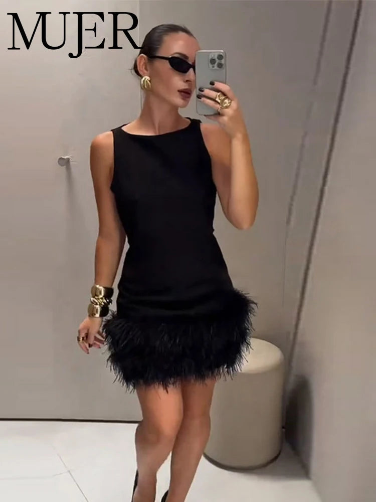 Black Swan Dress